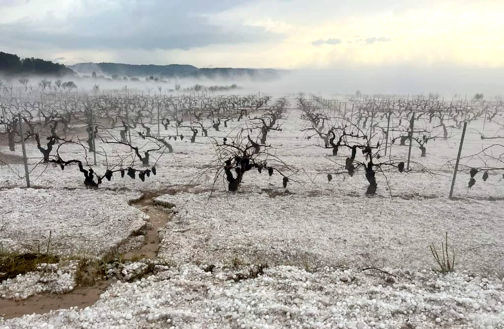 Asaja reclama un seguro europeo ante catstrofes naturales